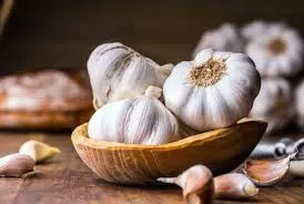 Garlic’s Therapeutic Power: Allicin Emerges as Nature’s Ancient Antibiotic