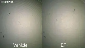 Picture4.jpg