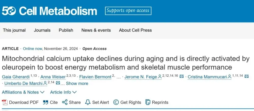 Another Natural Anti-Aging Molecule: Oleuropein’s Market Value to Reach $1.42 Billion!