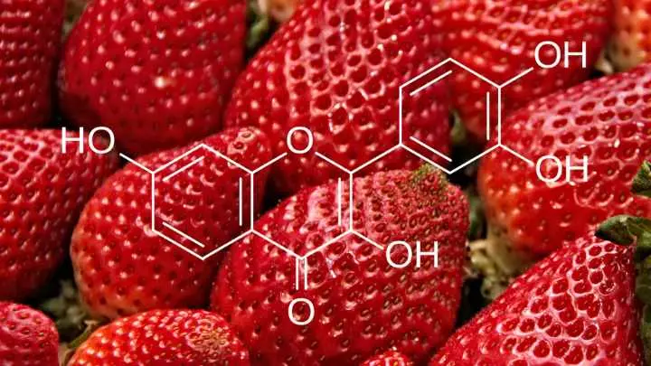 Fisetin: A Breakthrough in Anti-Aging Science