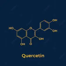 Research Unveils Quercetin’s Multi-Target Anti-Cancer Mechanisms and Natural Sources
