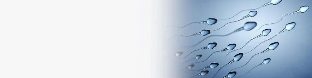dfgsv5