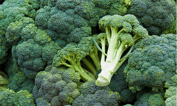 Broccoli Seed Extract
