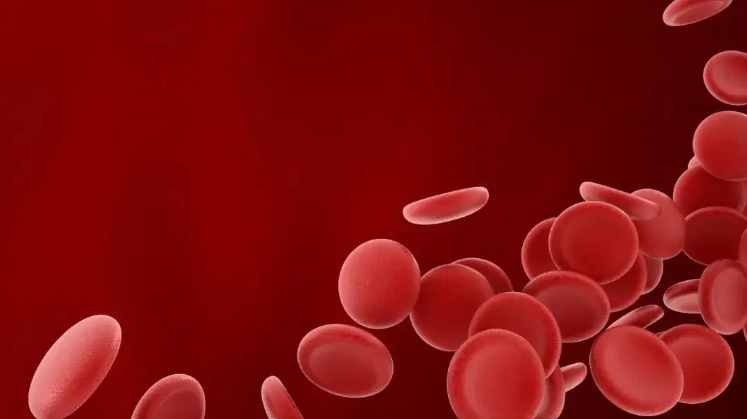 Urolithin A: A Promising Approach to Combat Aging in Hematopoietic Stem Cells