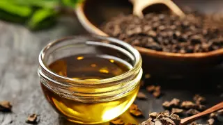 Future Trends of Juga Extract Market in 2025