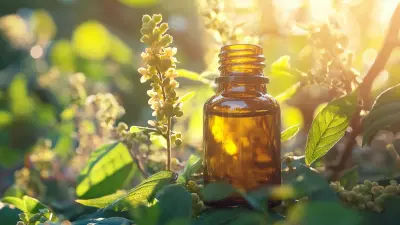Unlocking Quality Supply Chain Secrets for Berberis Extract and Berberine HCl