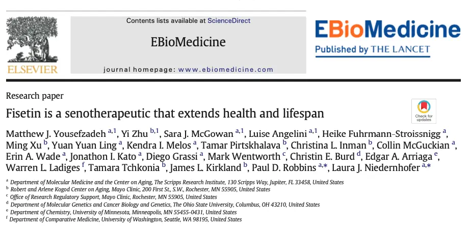 Fisetin: A Natural Breakthrough in Arterial Health and Aging Reversal