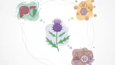 2026 Best Milk Thistle Extract Benefits and Uses Explained?