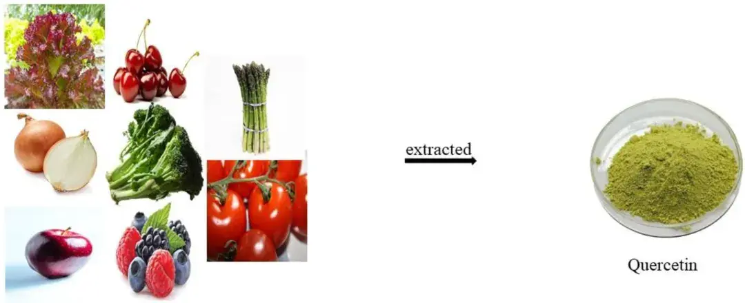 Quercetin新闻1-pic3.png
